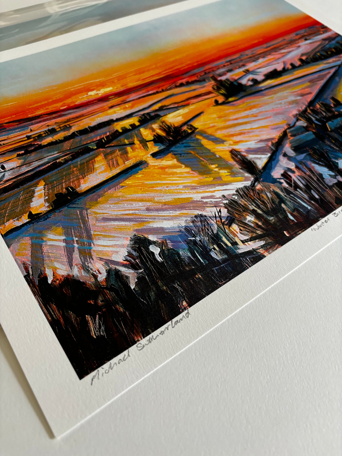 ‘Winter Bird’ - Print options