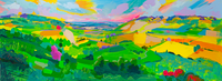 'Box Valley 4' - Panoramic Giclée Print (limited run of 25)