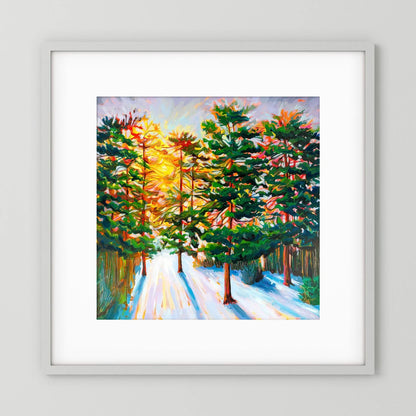 Winter Woods – Fine Art Paper Print