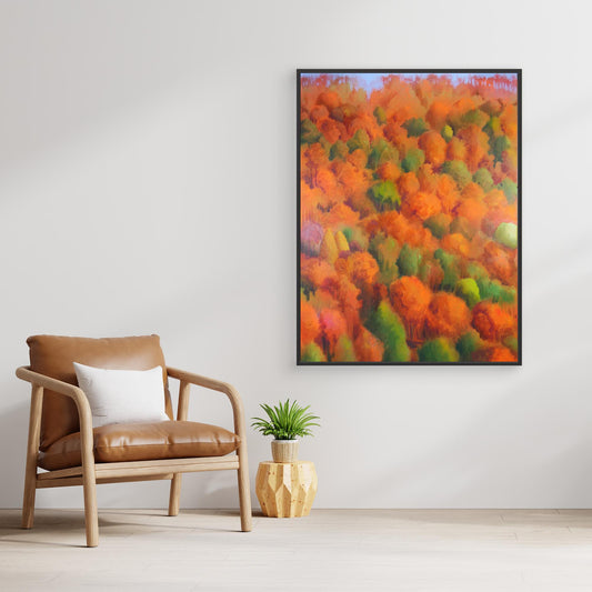 Autumn Forest